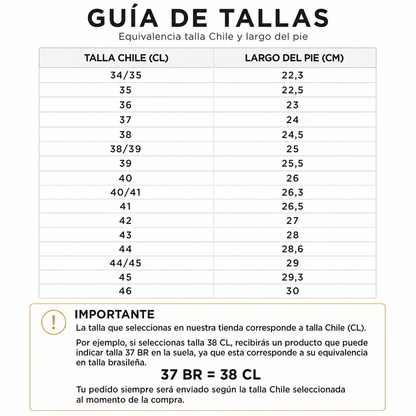 Sandalia Mujer Lila/Glitter Gold Ipanema